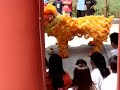 lion dance Sandakan lion dance Sandakan