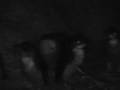 videos de Fairy Penguins - Bicheno Tasmania