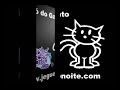 Forró do Gato [ jeguenoite.com ]