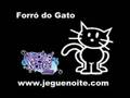 Forró do Gato [ jeguenoite.com ]