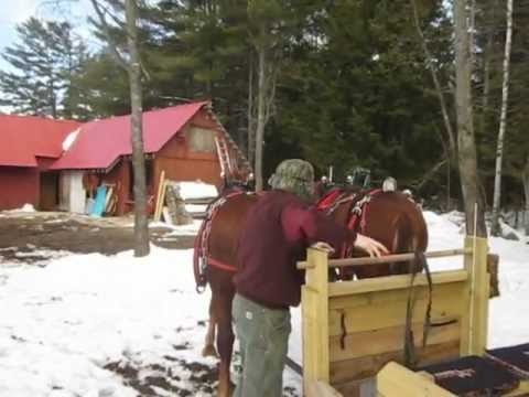 how to hitch up a team of horses