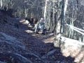 videos de Tellico 4wheeling Nov 2008