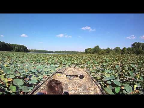 War Eagle Boat in the Pads
