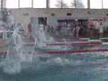Compétition Natation Belley Avril 2007