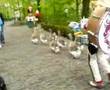 videos de efteling lol..