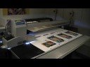 Raster Printers Daytona T600UV - White Ink