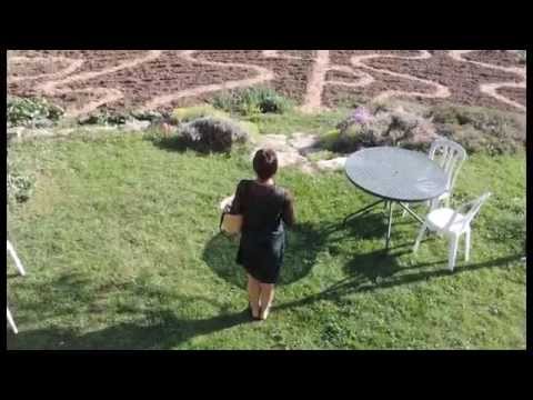 Image de prévisualisation YouTube