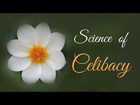 how to practice celibacy