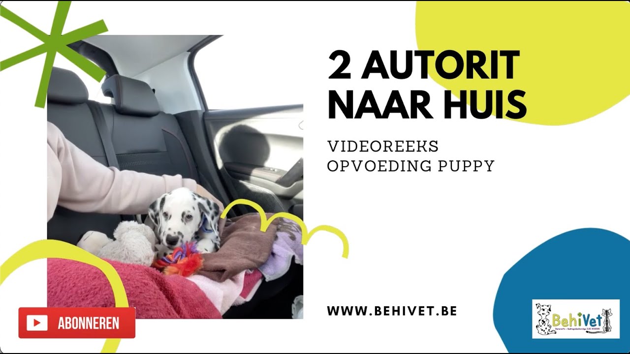 2 autorit naar huis