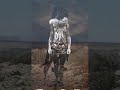 clips of the navajo land...