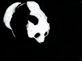 Panda rotoscopia