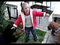 \"Face\" rottweiler with kid 3