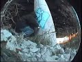 its time to throw up- graffiti bombing tagging