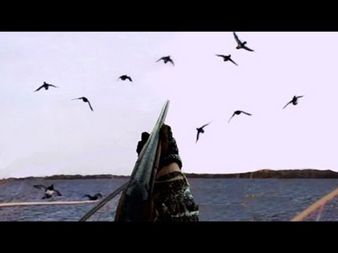 Hunting - Highlights of an unguided, DIY duck hunting adventure in Manitoba for bluebills, redheads, and canvasbacks. We hunted over hand carved decoys, crafted by my ...