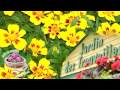 le jardin de trouvailles
