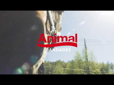 Snögg® AnimalPolster