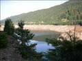 Couger Res Oregon 112007