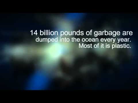 Marine Pollution