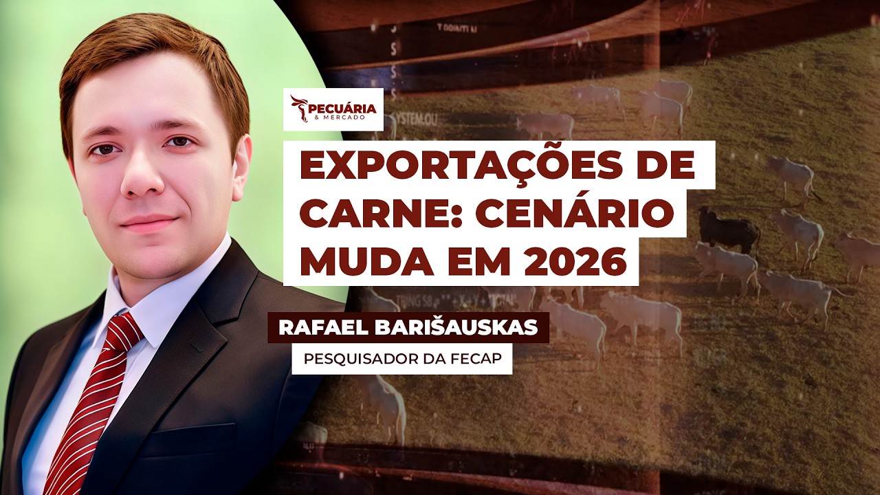 Exportações de carne em 2026: crescimento pontual e um cenário global mais desafiador