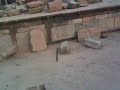 Workers at mini taj mahal in Delhi