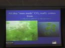 PulseTalks: The Carbon Dioxide Sink