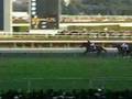 【競馬】第52回有馬記念(GI):52nd The Arima Kinen (The Grand Prix)
