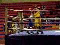 TACNA CAMPEON DE BOX