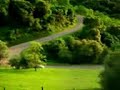 korkun. ye?il yol sonses izle tavsiye ederim (SELÇUK YAZICI) korkun. ye?il yol sonses izle tavsiye ederim (SELÇUK YAZICI)