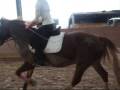 Jumping Doubles and spreads and a bit of no stirrups x