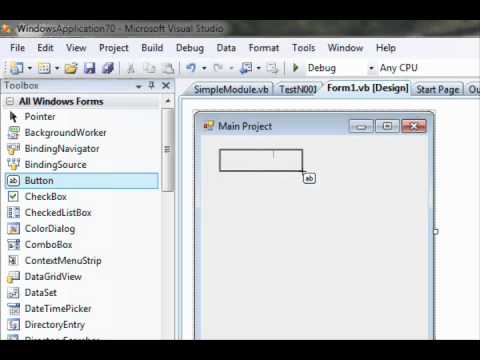 how to use skin in vb.net 2010