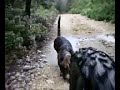 Salida MTB con Uma - Pe�al d\
