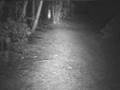 Downhill night head cam Willingham 1