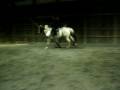 videos de Me and Mia jumping 3'6