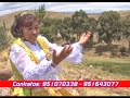 El interesado - Bertha del amor
