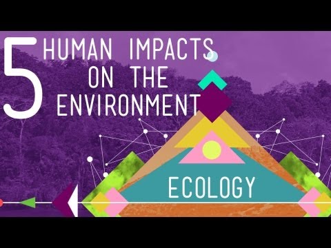 5 Human Impacts on the Enviroment