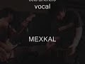 mana tu tienes lo que quiero cover  mexkal