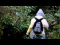 Rainforest Walk