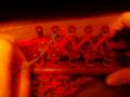 how 2 knit on a loom...part 1 of part 2 ....going 2 the left