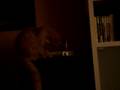 videos de MOV06106.MPG