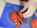 tavuklu mantar <b>sote</b> videolu tarifi