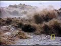 annual-wave.html