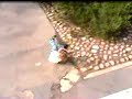 JaCkass rOLLer