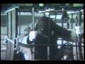 Tiger Cage Video Short