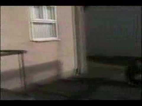 Ayrshire Parkour...