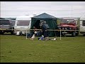 doggy beckham a dog playing football
