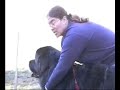 NESBC, Working Dog Demonstration Part 1 NESBC, Working Dog Demonstration Part 1