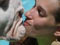Rayka - Bulldog English