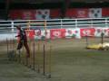 videos de riccardo e asia jumping 2 voghera dicembre 08