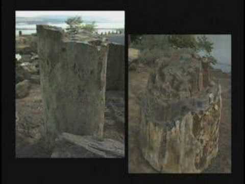 Evolution Part 2:Fossils: Facts ...