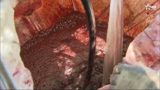 أي تأثير للموسم الاستثنائي من الأمطار والثلوج على مردودية الموسم ودينامية خلق فرص الشغل؟